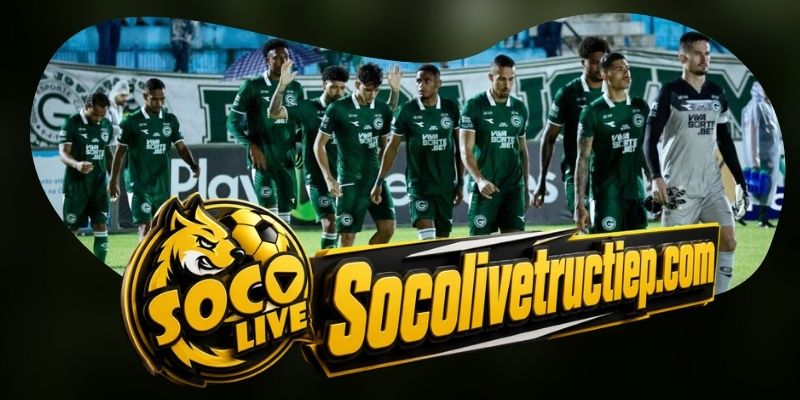 Gợi ý chốt kèo tổng hợp trận The New Saints vs Sabah Baku ngày 15/07
